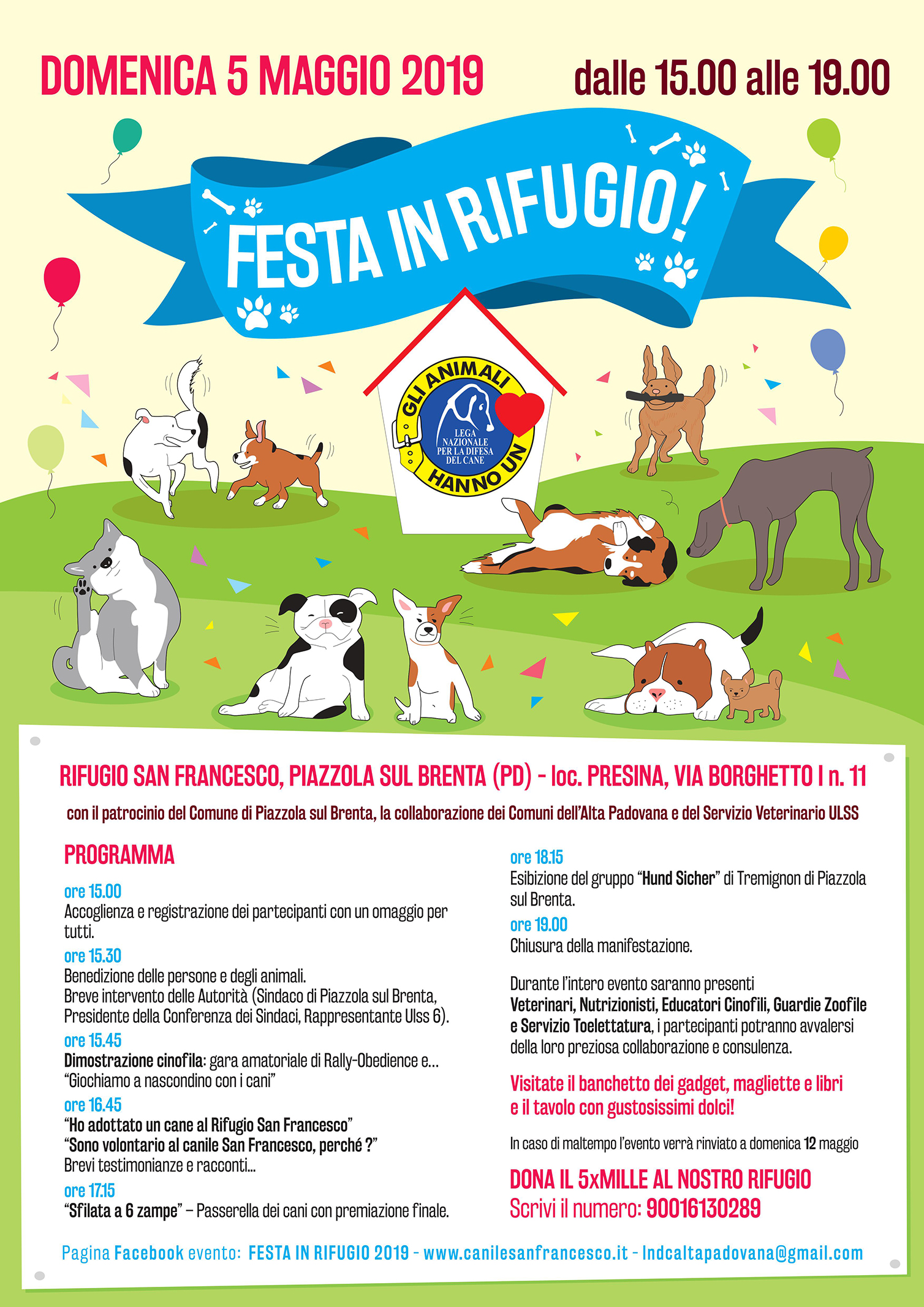 programmazione festa 