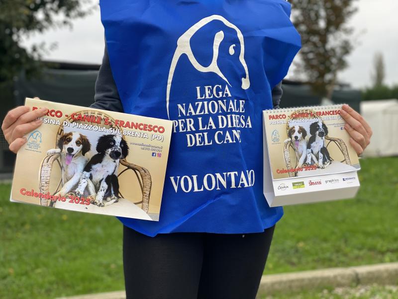 calendari 2025 calendari 2025