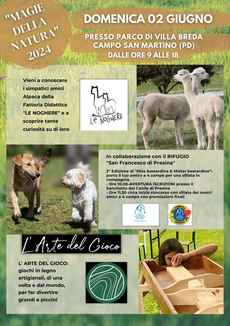 volantino festa