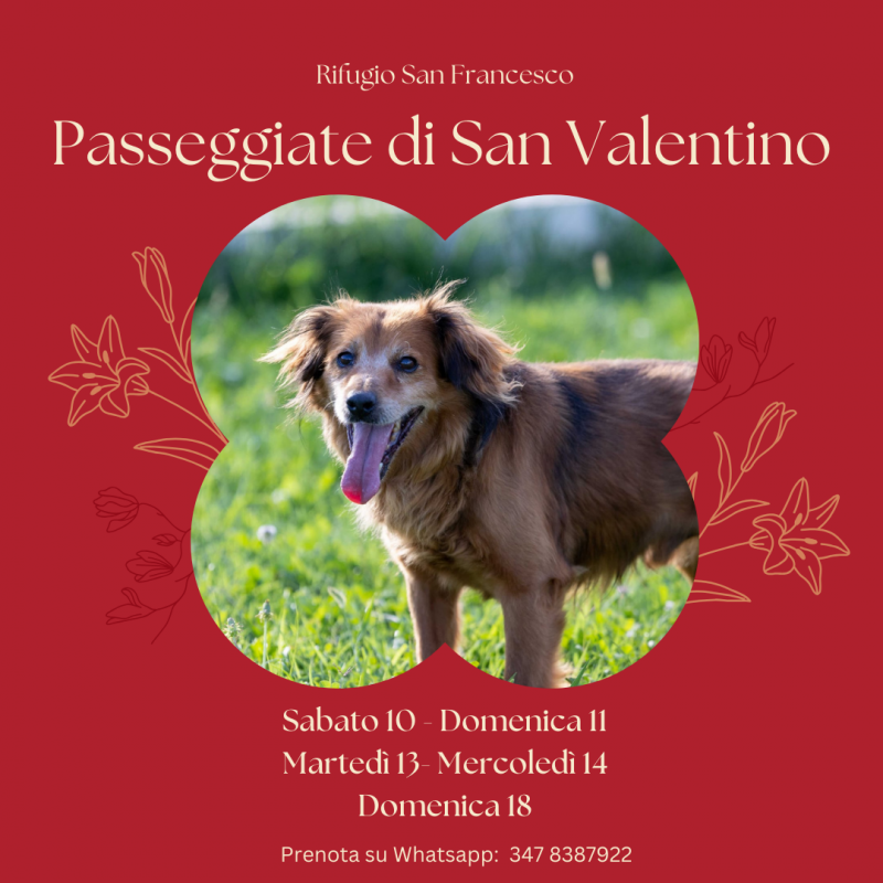 san valentino 2024