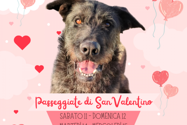 Passeggiate san valentino